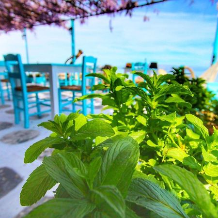 Benitsa Beach Hotel Achilleion Ngoại thất bức ảnh